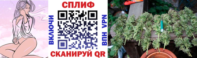 Купить наркотики сайты Суздаль Бошки Шишки  Псилоцибиновые грибы  ГАШ  Меф 