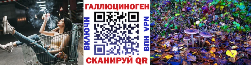 OMG tor  Суздаль  Галлюциногенные грибы прущие грибы 